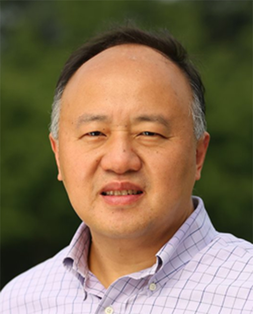 高清无码