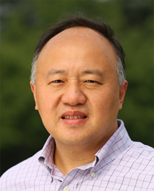 高清无码