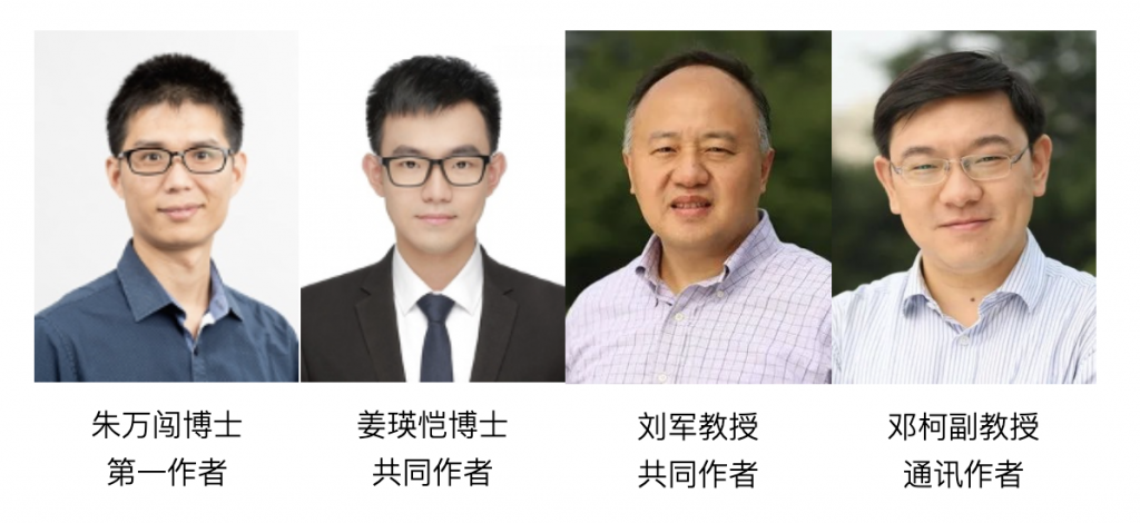 高清无码