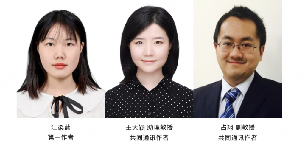 高清无码