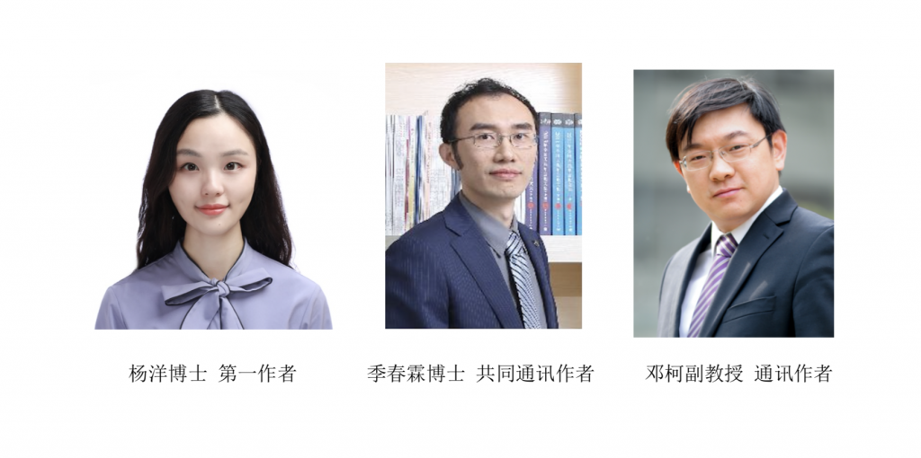 高清无码