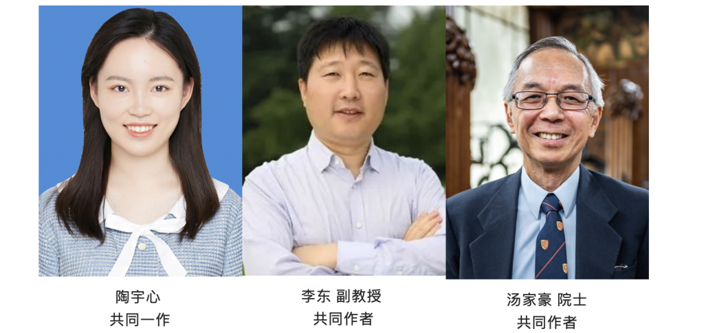 高清无码