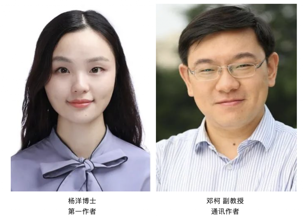 高清无码